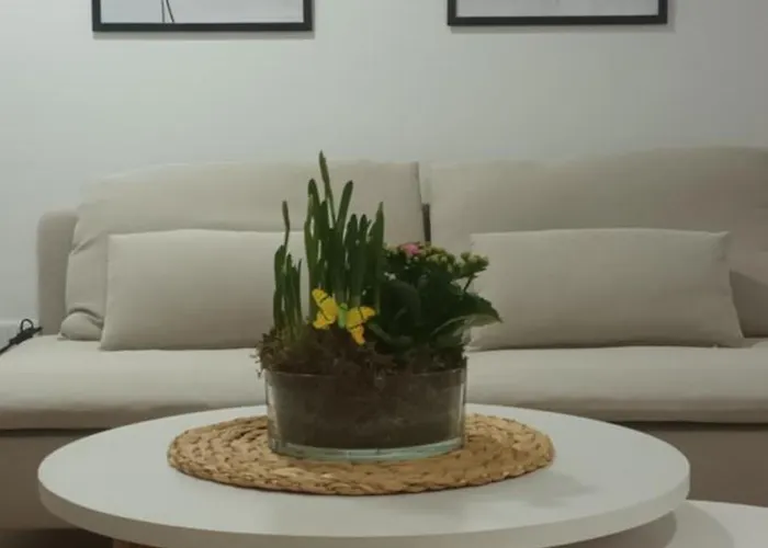 Apartamento Neron